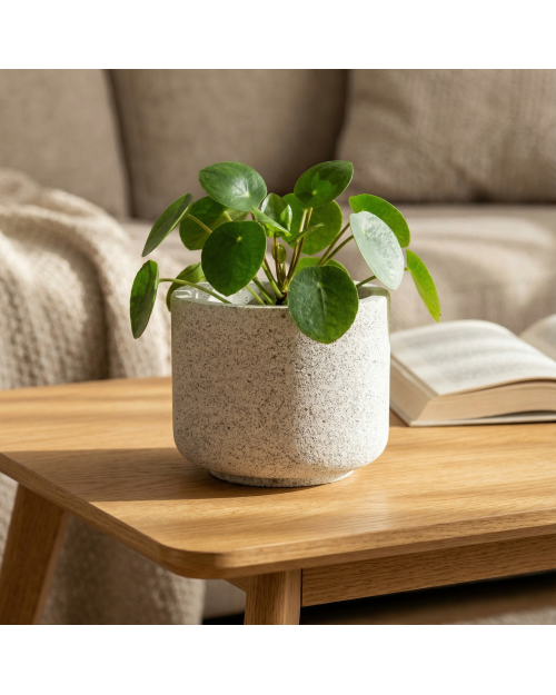 Decomini GAELIS – El Yapımı Hafif Beton Saksı