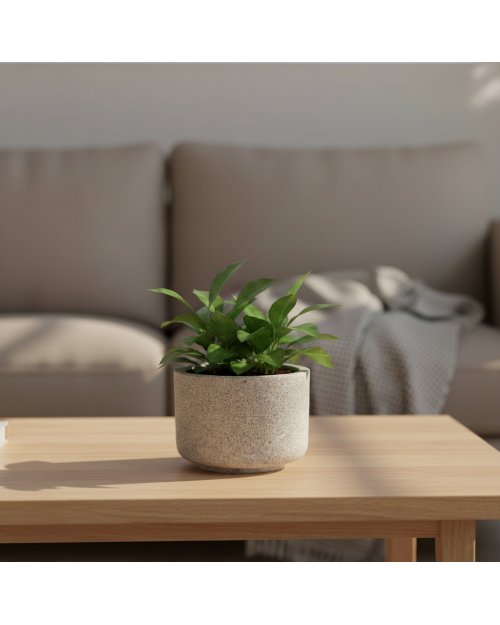 Decomini GAELIS – El Yapımı Hafif Beton Saksı