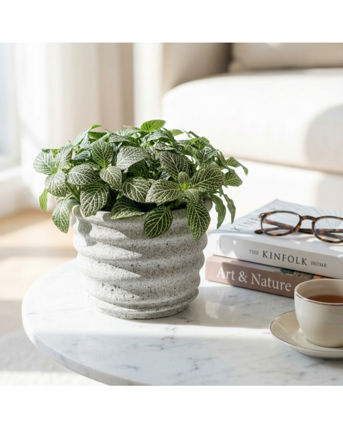 Decomini AETHERIS — El Yapımı Hafif Beton Saksı