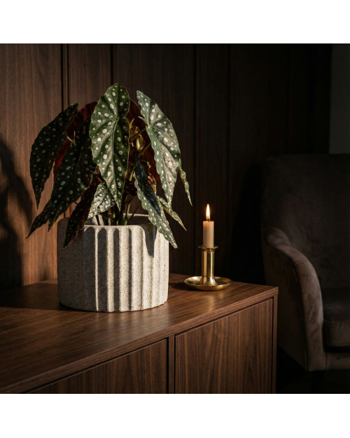 Decomini ARDILIA — El Yapımı Hafif Beton Saksı