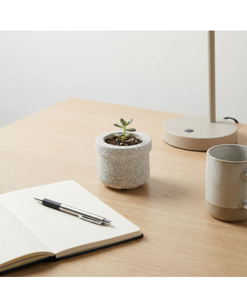 Decomini CURVIA — El Yapımı Hafif Beton Saksı