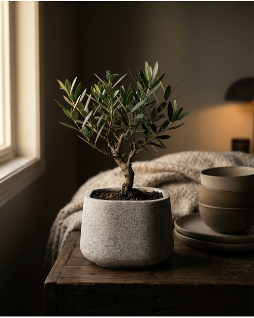 Decomini LUNIS — El Yapımı Hafif Beton Saksı