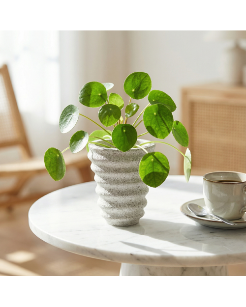 Decomini RISE — El Yapımı Hafif Beton Saksı